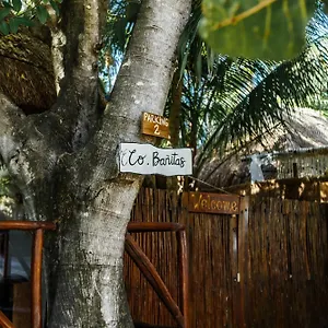  Hotel Eco Banitas Mexico